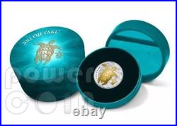 2012 Taku Turtle Baby Hawksbill Gilded Silver Coin