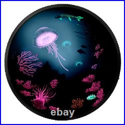 2016 Illuminated Underwater reef 2 oz fine silver coin