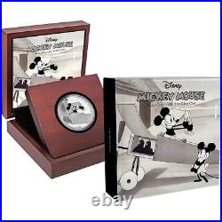 2016 Mickey Mouse plane crazy 1 oz pure silver coin