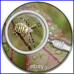 2021 Wasp spider the secret garden pure silver coin with magnifying glass