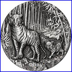 2022 Year of the Tiger 2oz. 9999 SILVER $2 Lunar ANTIQUED COIN