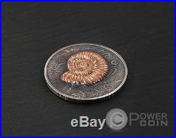 AMMONITE Evolution of Life Silver Coin 500 Togrog Mongolia 2015