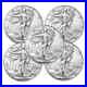 Lot of 5 2024 American Silver Eagle 1 oz BU